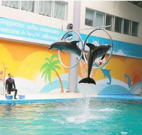 İstanbul Dolphinarium