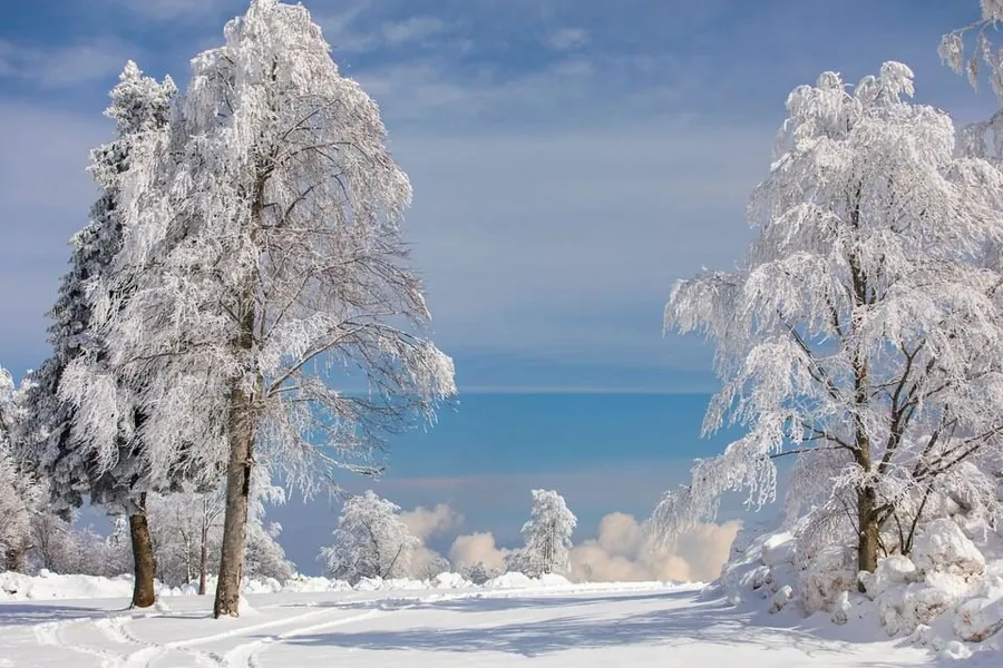 Kartepe Kar Manzarası
